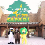 Dự án làm sàn nâng server ở Vườn thú Vinpearl Safari Phú Quốc